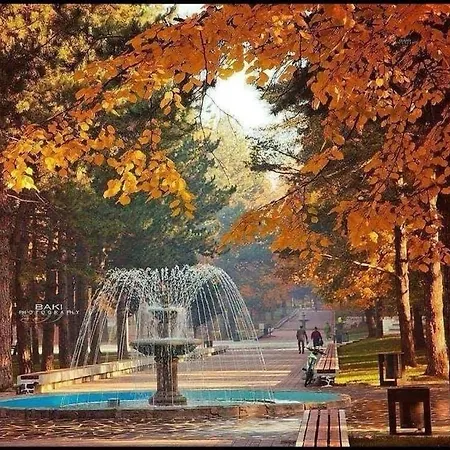 Luxury & * Κορυτσά